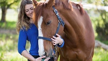 Schellhorn Schwoich Riding Stables