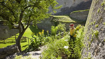 Kufstein Fortress plant and herb garden