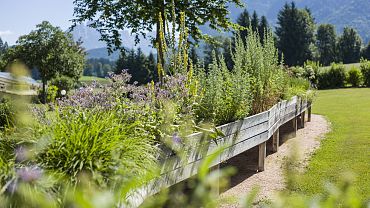 Bad Häring spa herb garden