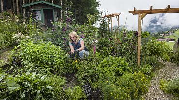 Thiersee Valley herbal world