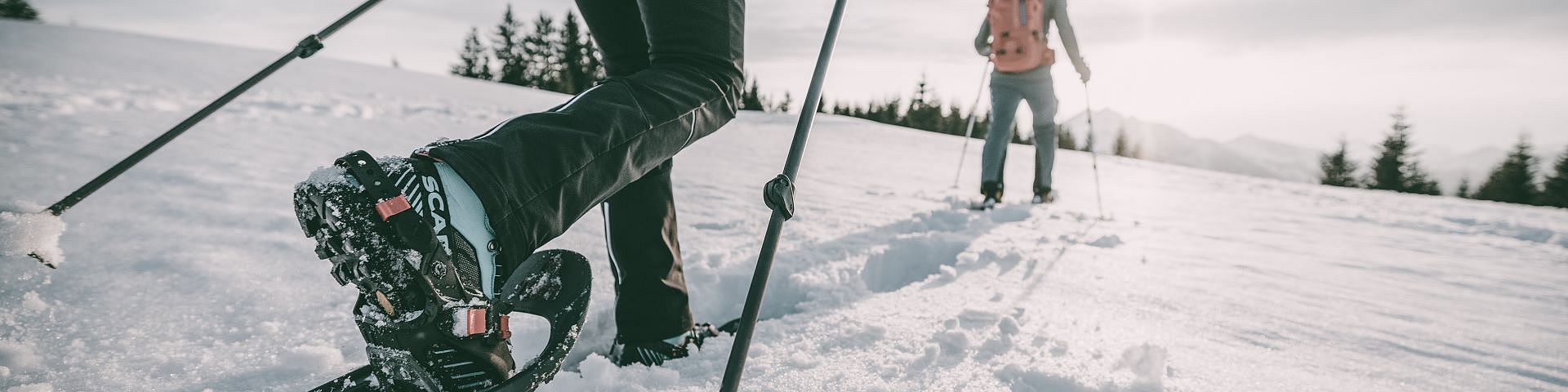 Winter Aktivitäten