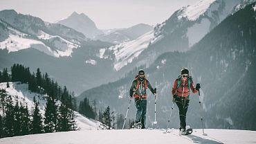 Snowshoe walks