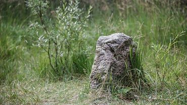 Stone circle Riedenberg