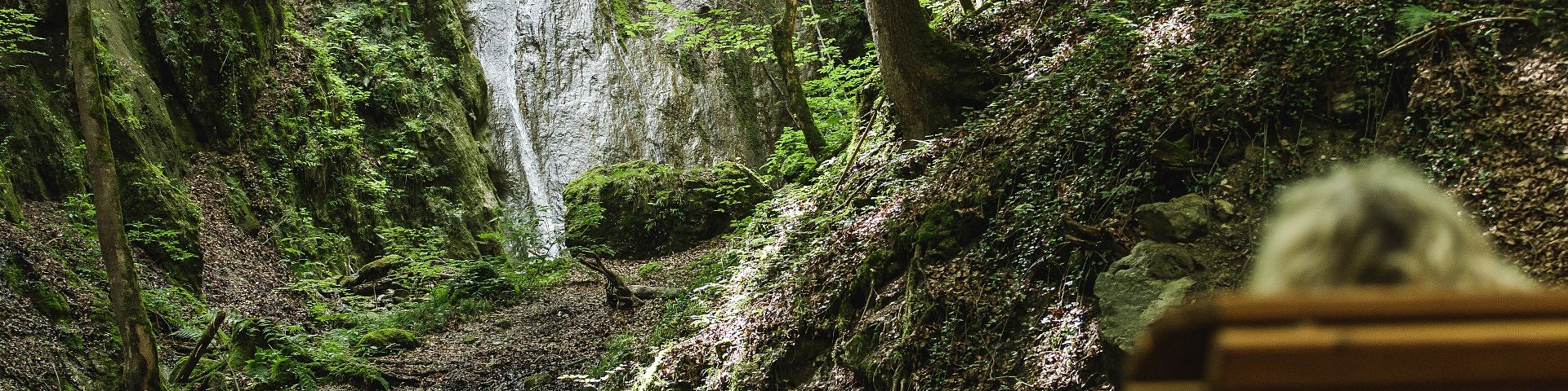 Kraftplätze Kufsteinerland