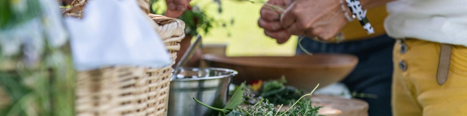 Programma di attività