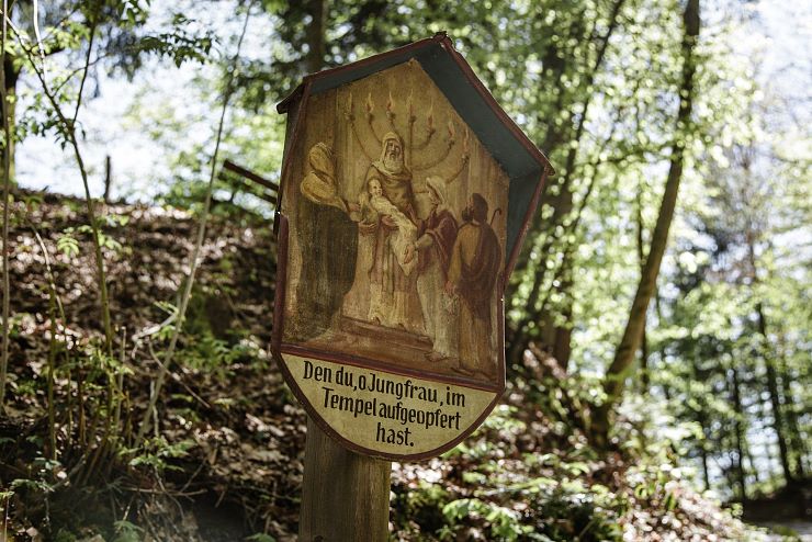 aussichtspunkt_wildschuetz_niederndorf_10