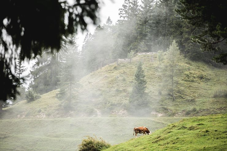 frei_raum_zeit_kufstein (9)