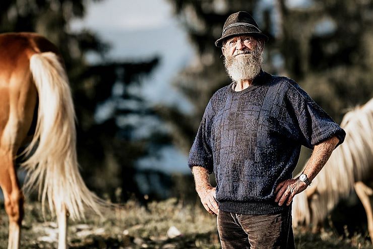 haflinger_hengstalmabtrieb_copyright_zauberlicht_fotografie_anja_felkel