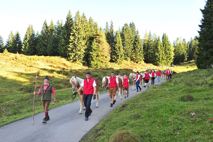 Haflinger_Hengstalmabtrieb_Fohlenhof_Ebbs_Fotograf_Christian_Kapfinger_2