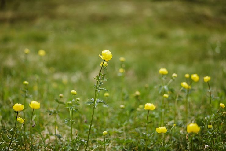 hochmoor_riedenberg_5