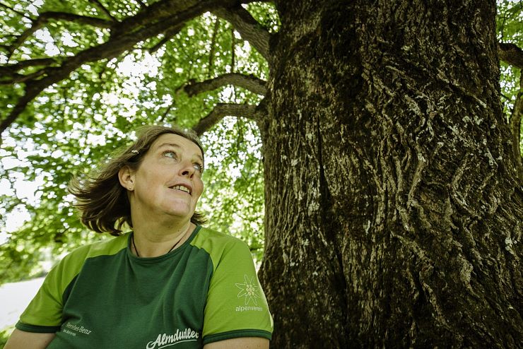 koenigslinde_schwoich_7