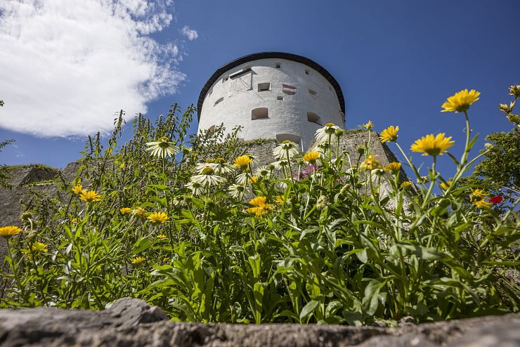 kraeutergarten_festung_kufstein (3)