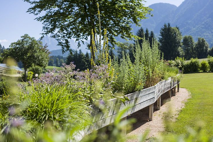 kraeutergarten_kurzentrum_bad_haering (1)