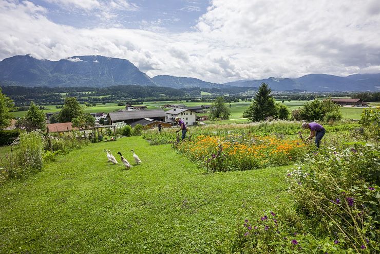 kraeutergarten_langkampfen (1)