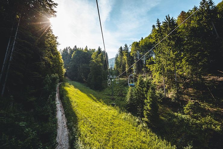 naturerlebnis_kaisergebirge_themenfuehrungen_copyright_mathaeus_gartner (30)