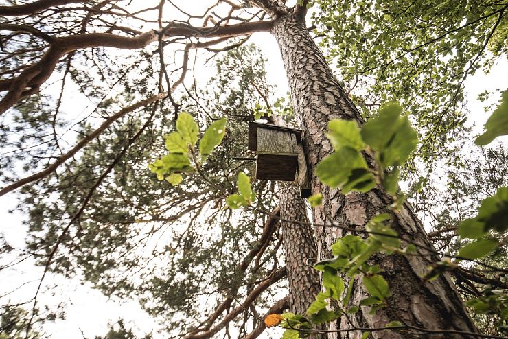 rudersburg_langkampfen (1)