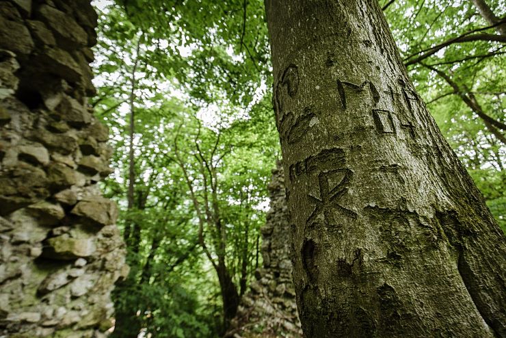 ruine_katzenstein_erl_12