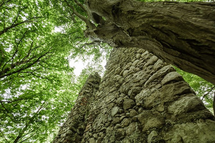 ruine_katzenstein_erl_3