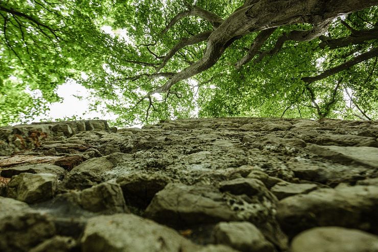 ruine_katzenstein_erl_4