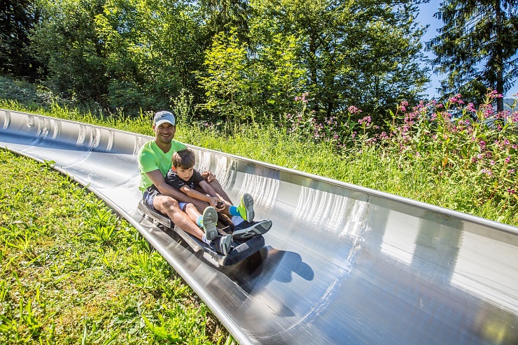 sommerrodelbahn_oberaudorf_hocheck