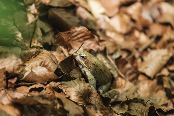 wasserfall_nikolauskapelle_ebbs_7
