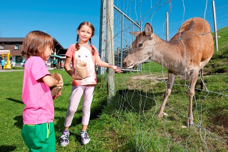 zahmer_kaiser_wildpark